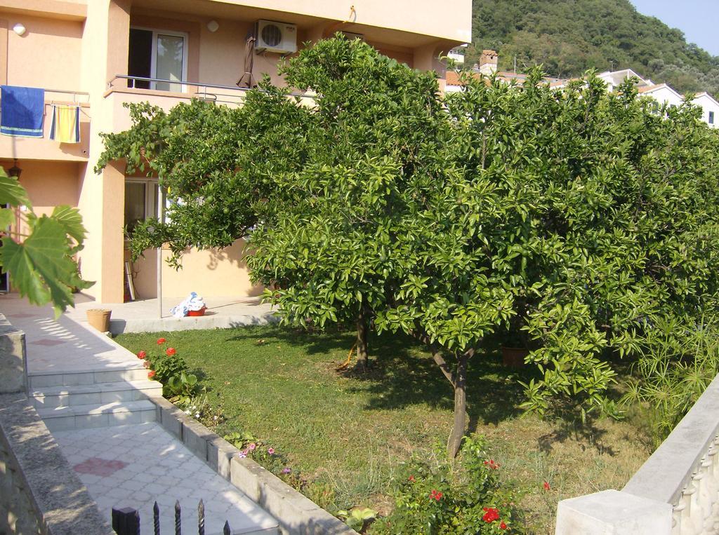Guesthouse Lautasevic Petrovac Ngoại thất bức ảnh