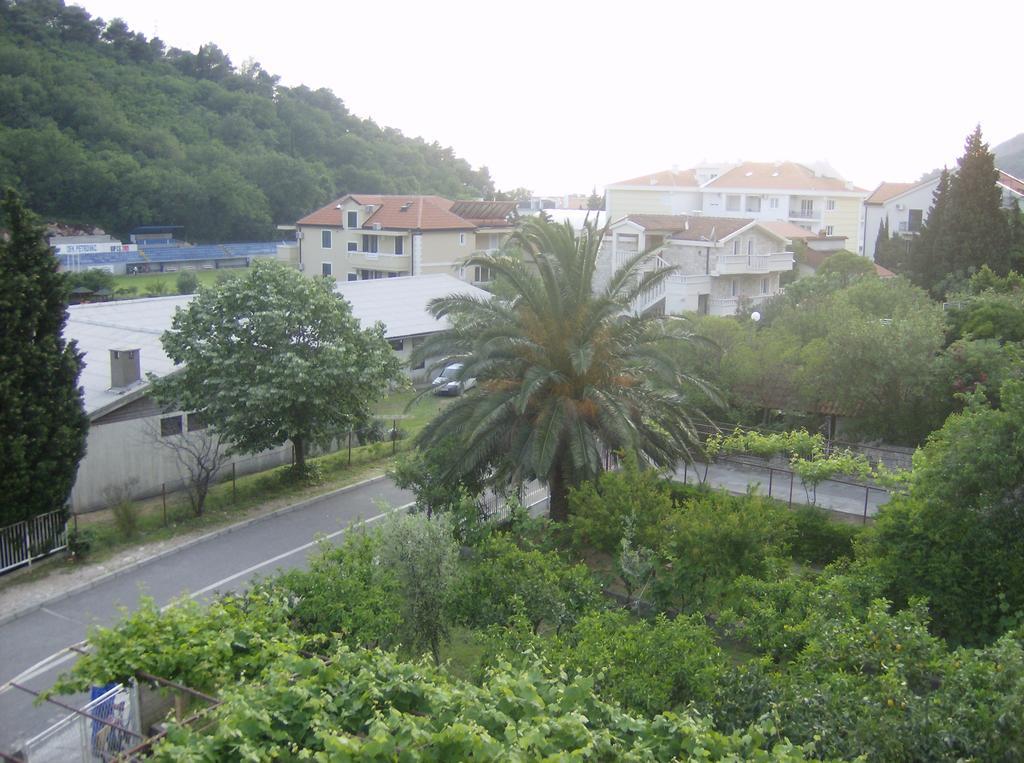 Guesthouse Lautasevic Petrovac Ngoại thất bức ảnh