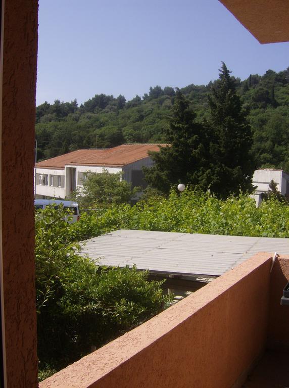 Guesthouse Lautasevic Petrovac Ngoại thất bức ảnh